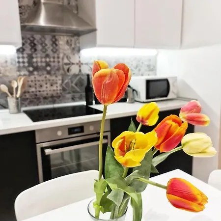 Apartment Borro Palace